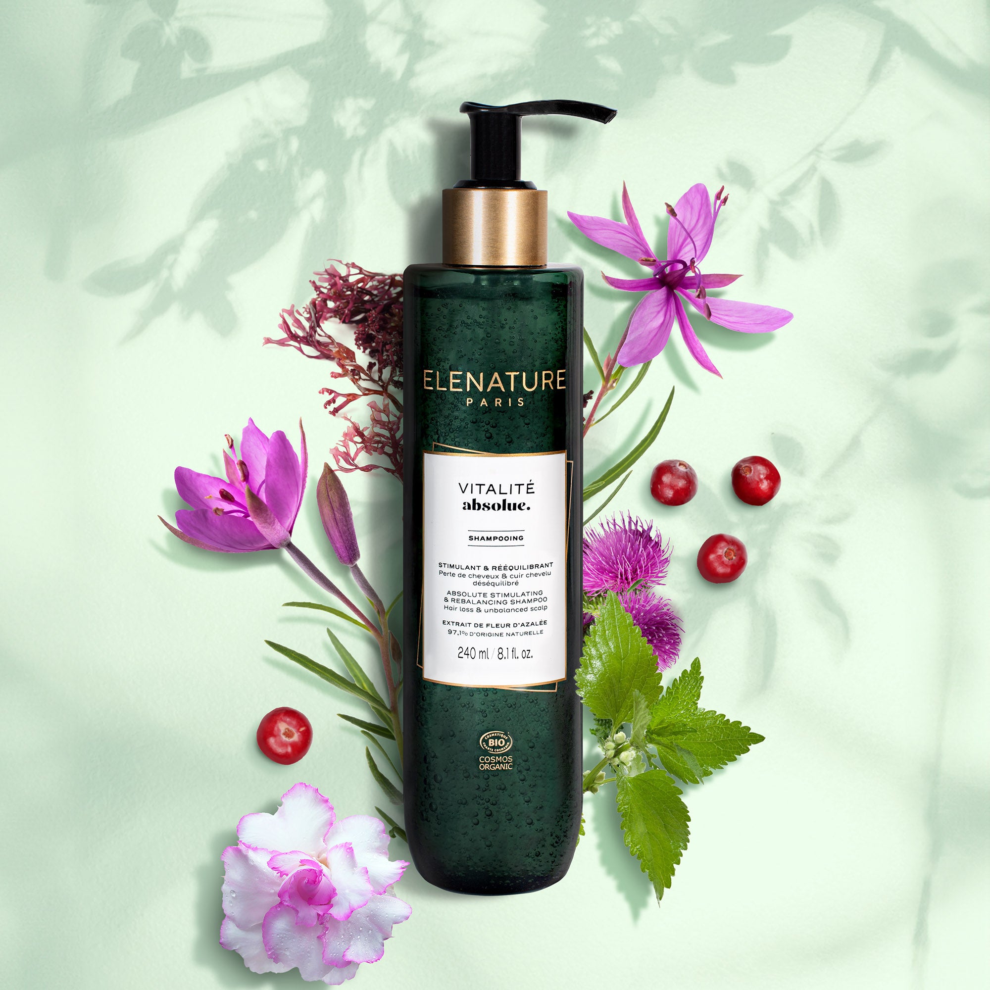 Shampooing Stimulant & Rééquilibrant