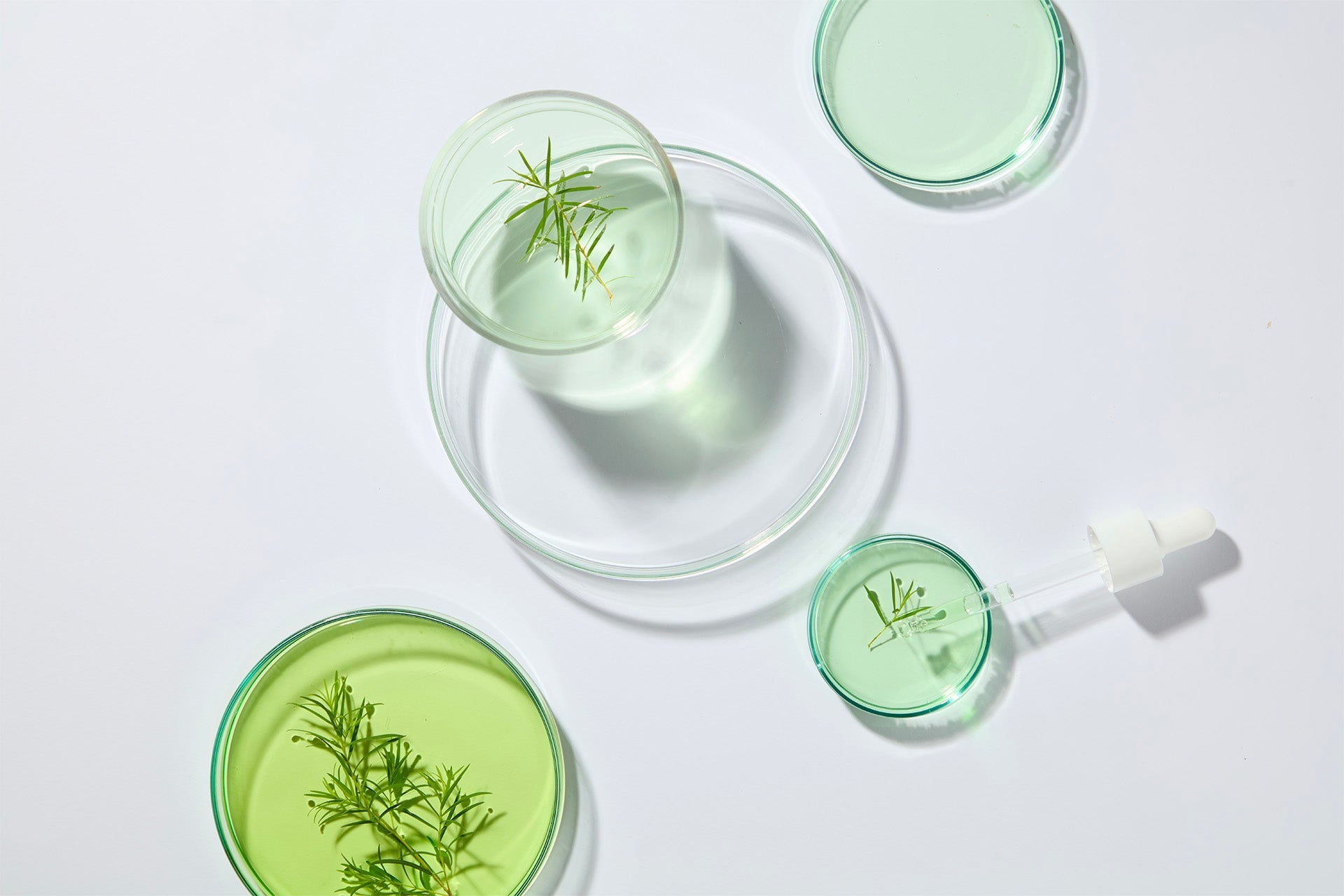 Cosmétiques capillaires : comment reconnaître une marque vraiment engagée ?