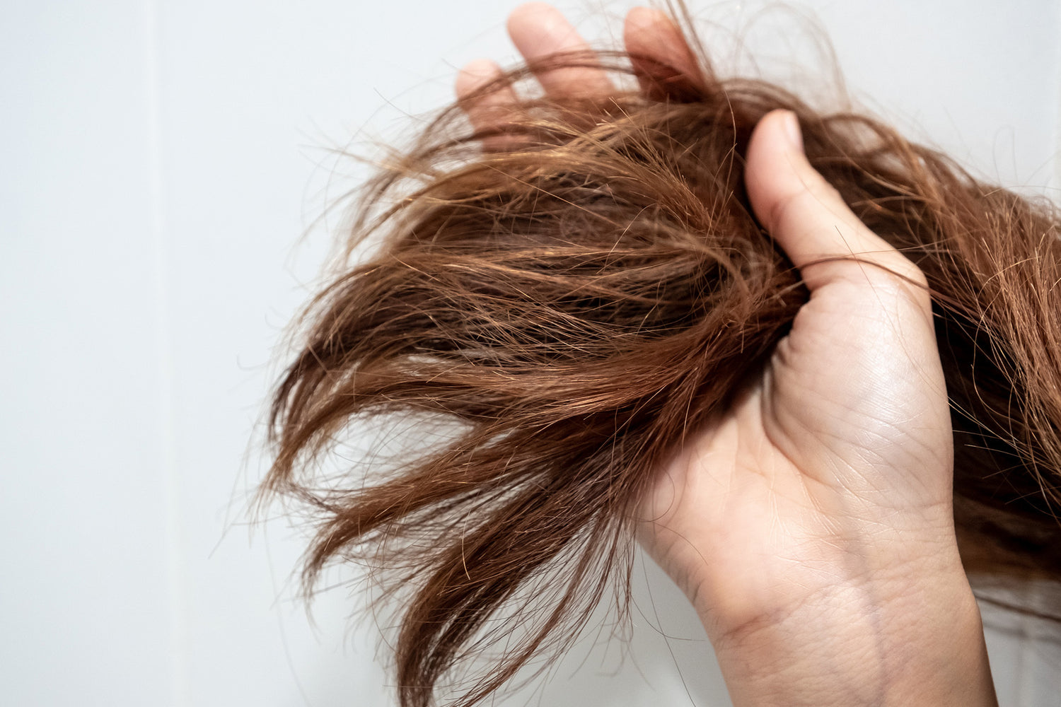 Comment ne plus avoir les cheveux très secs ? | ELENATURE