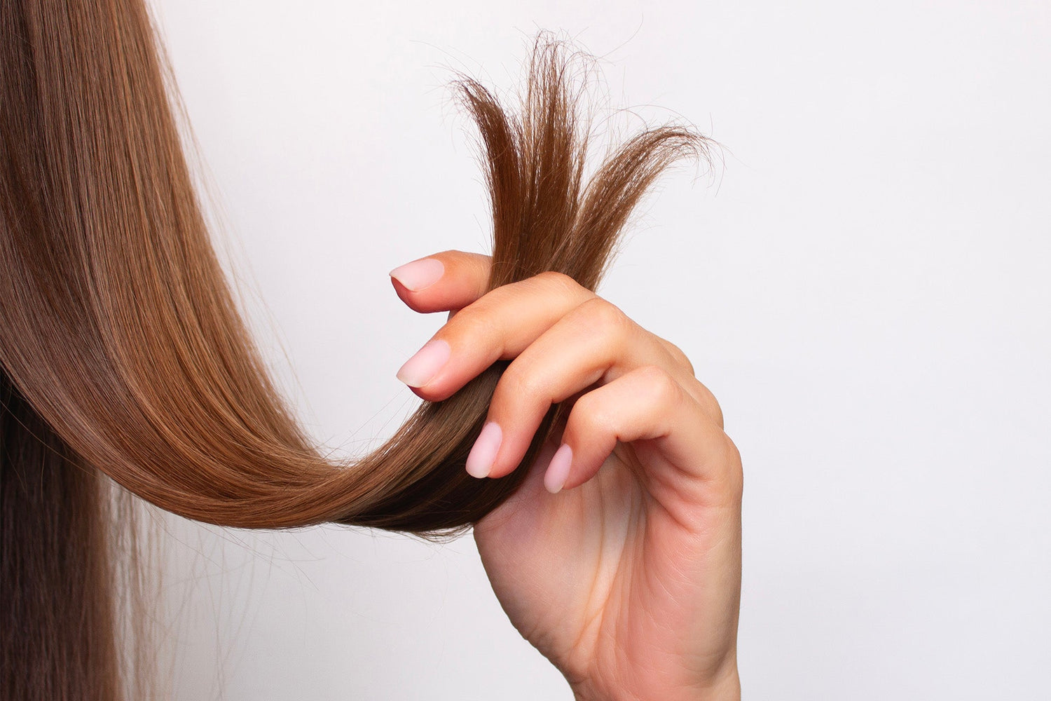 Comment savoir quand les cheveux ont besoin d'être coupés ?